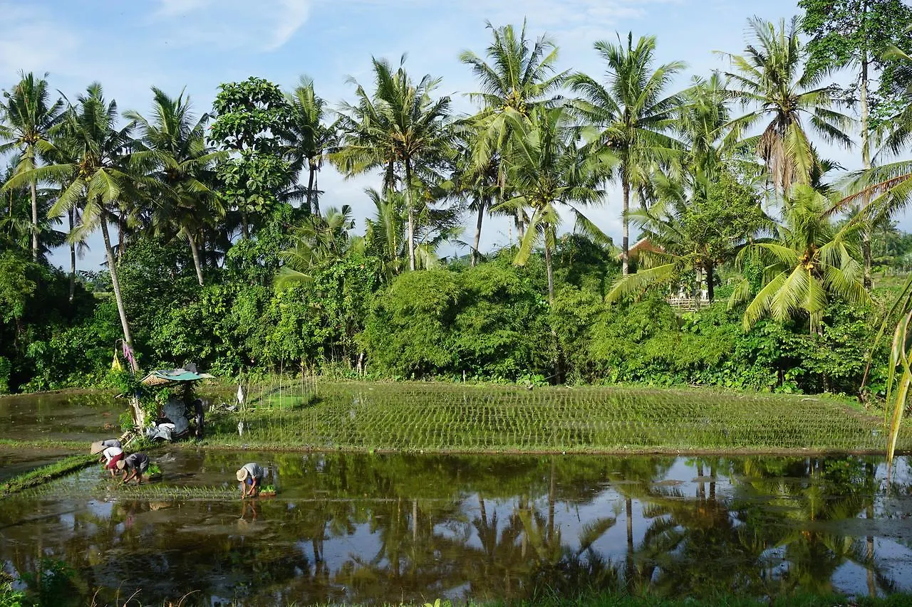Hotel Puri Kobot Ubud 3*,  Indonesia
